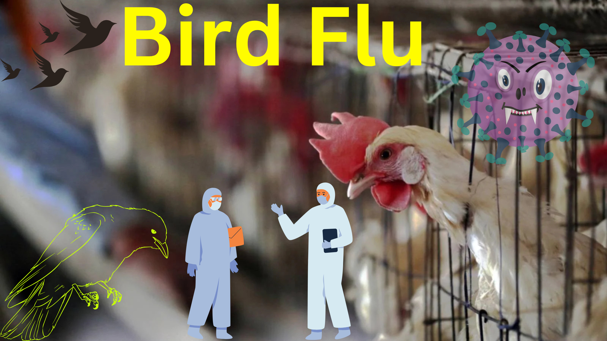 Bird flu outbreak in eastern Maharashtra | पूर्व महाराष्ट्रात बर्ड फ्ल्यू चा शिरकाव , पशुसंवर्धन विभाग आता उपाययोजनेसाठी ॲक्शन मोड मध्ये