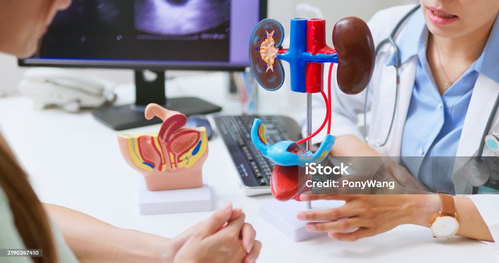 Important measures and solutions to prevent kidney damage