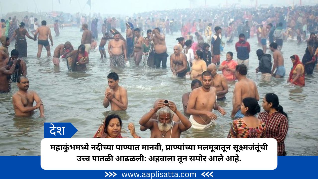 Maha Kumbh News 2025, High levels of microbes from human and animal excreta were found in river water in Mahakumbh| महाकुंभमध्ये नदीच्या पाण्यात मानवी, प्राण्यांच्या मलमूत्रातून सूक्ष्मजंतूंची उच्च पातळी आढळली: अहवाला तून समोर आले आहे.