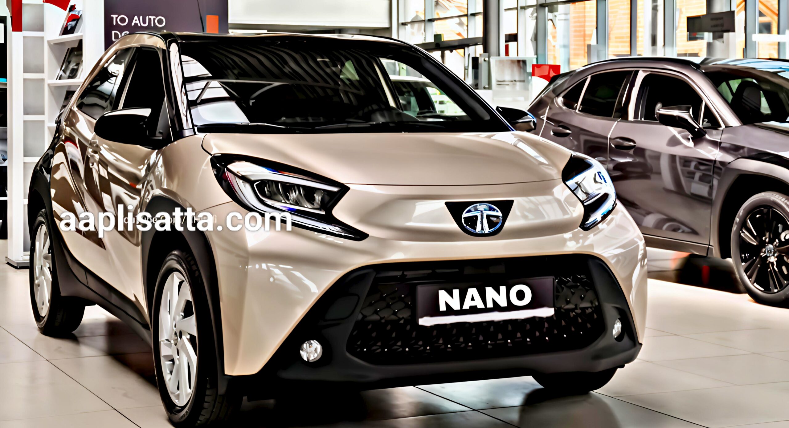 TATA NANO 2025